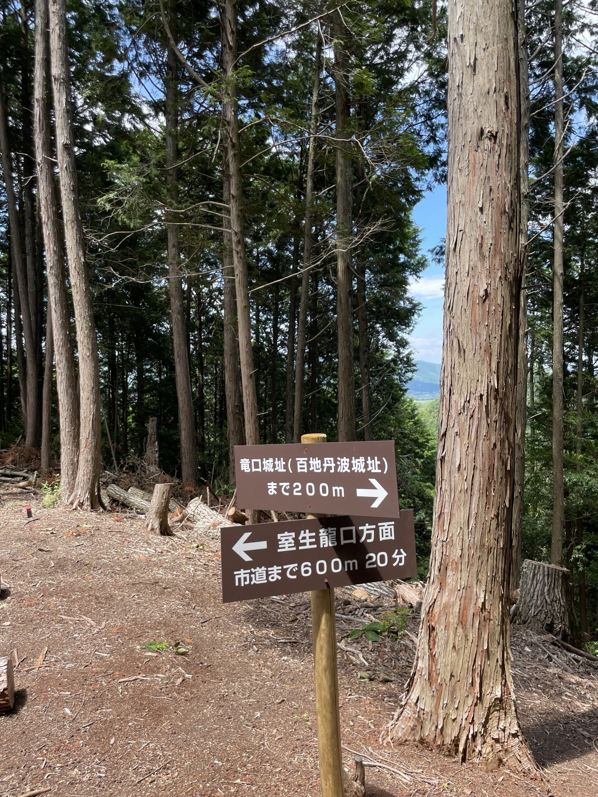 名張市竜口にある竜口城跡を名張市議会議員小林まさるが登りました