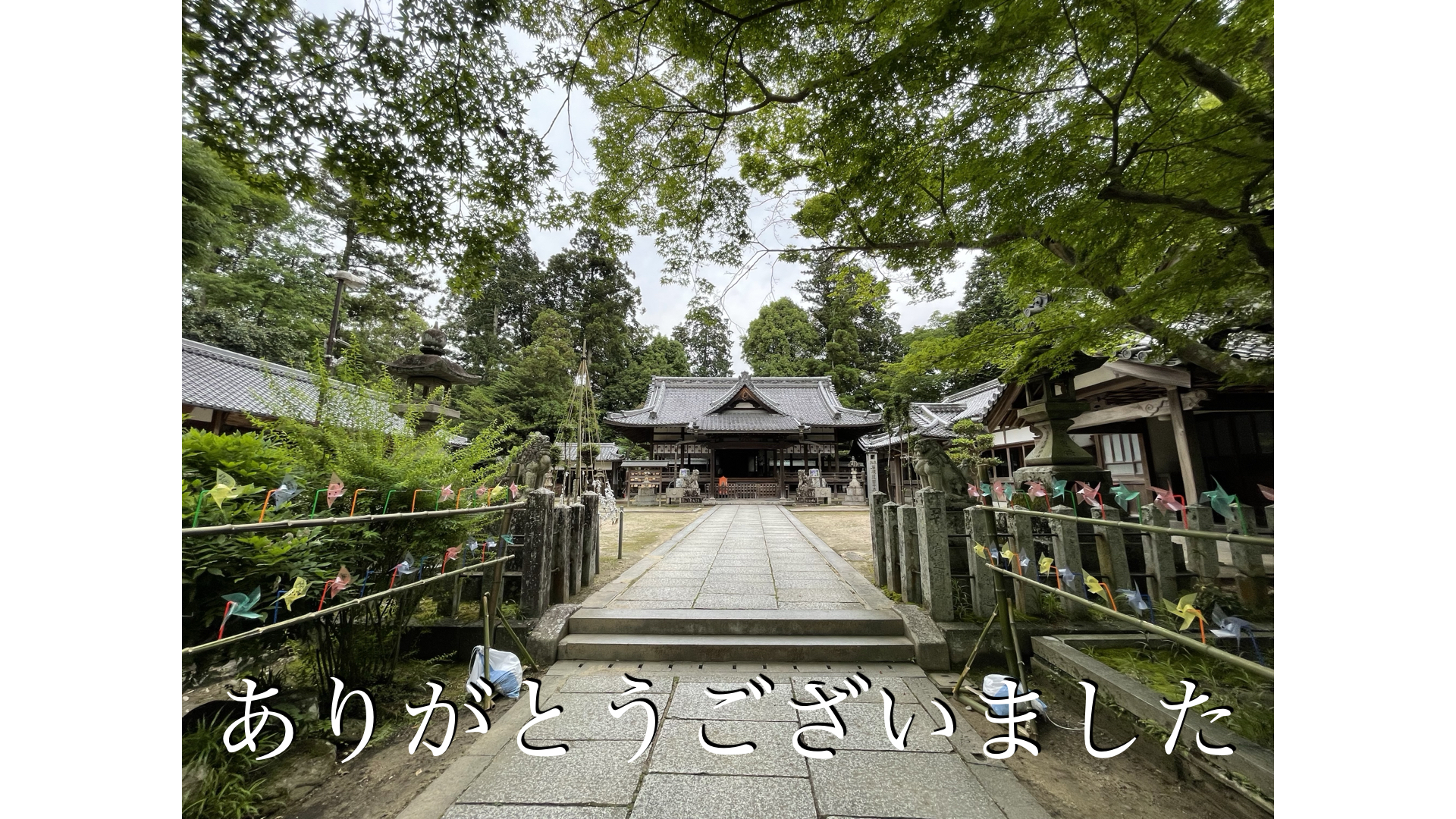 名張 市議会 議員選挙 2026