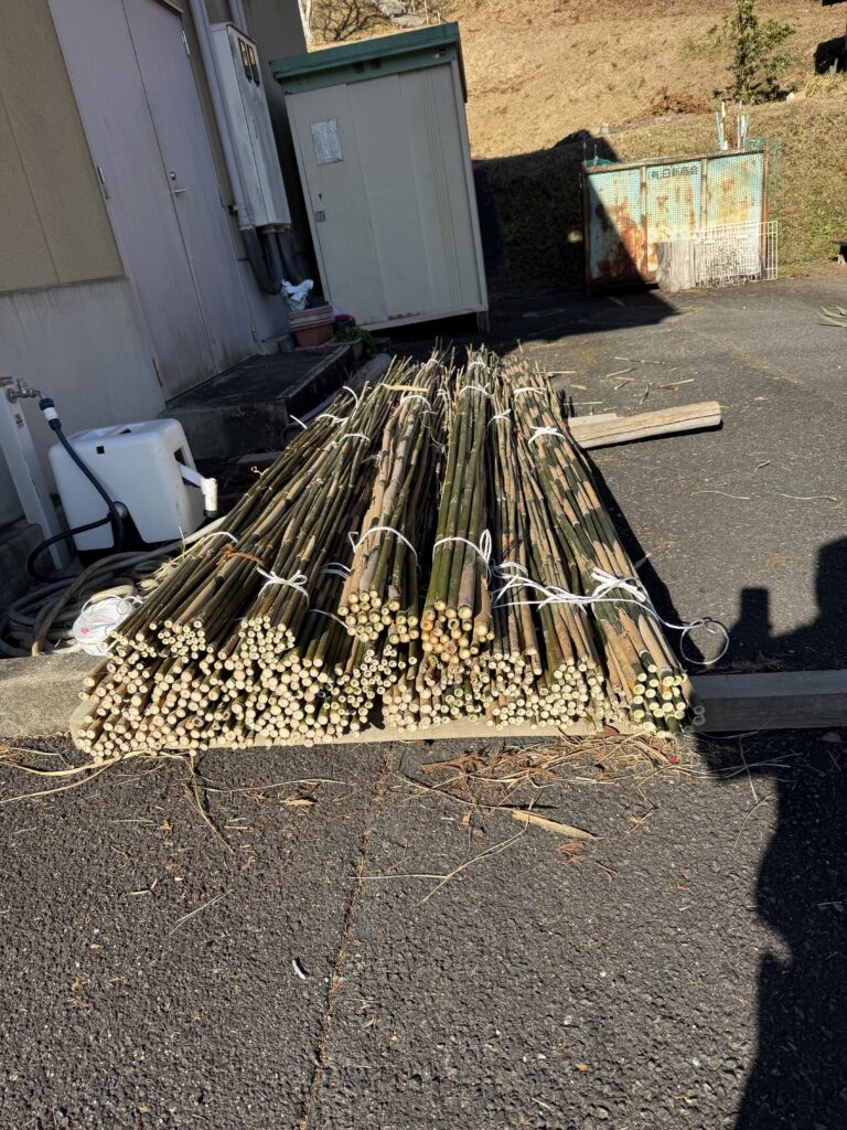 2026年の市議会議員選挙の立候補者