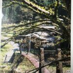 昔の長瀬の吊り橋で通称昭和橋です。