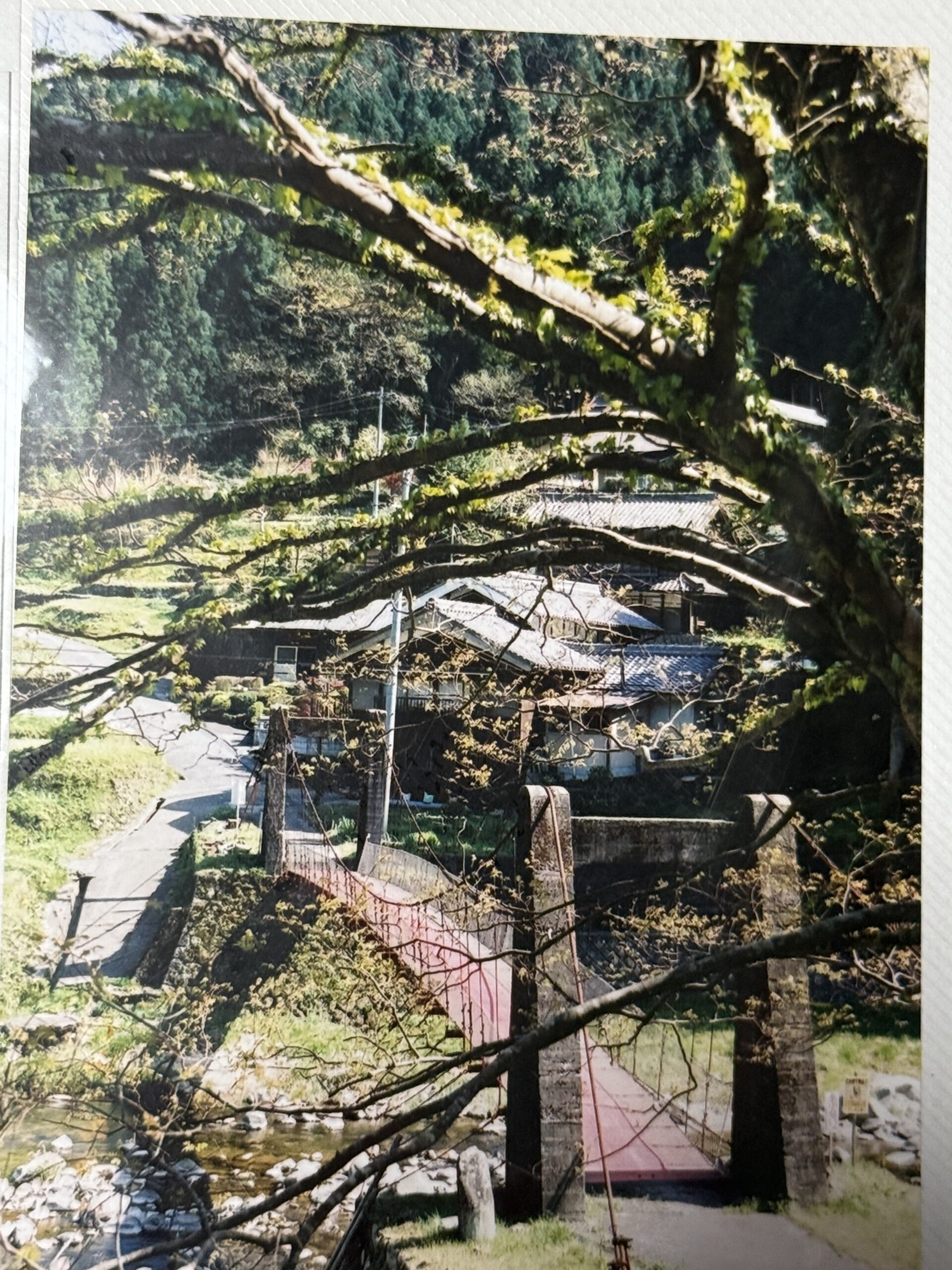 昔の長瀬の吊り橋で通称昭和橋です。