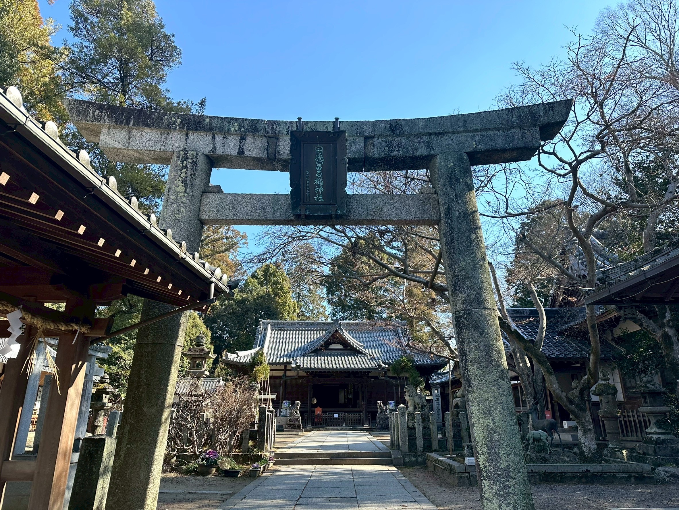 名張市議会議員選挙2026年4月5日